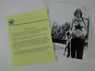 CHRIS SPEDDING Oct 1970 publicity kit Backwood Progression BATTERED ORNAMENTS
