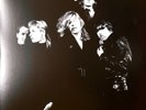 GO BETWEENS Fountain Of Youth VINYL 2xLP rare only LIVE ALBUM Exclusive