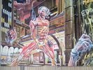 iron maiden somewhere in time vinyl
