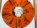 Led Zeppelin Rare Bonzo’s Birthday Party Colored Vinyl 1973 Inglewood Forum 