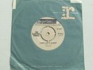 The Electric Prunes - Long Day's Flight - 1967 REPRISE (VG+)