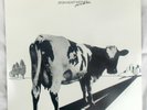 Pink Floyd Screaming Abdabs Atom Heart Mother Goes On The Road 2 LP Live 1971