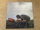 *Julian Cope - Fried LP