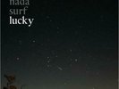 NADA SURF: LUCKY (LP vinyl *BRAND NEW*.)