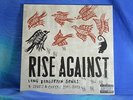 Rise Against - Long Forgotten Songs: B-Sides & Covers, 2x LP. neu/OVP