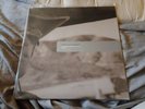The brian jonestown massacre vinyl