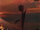 Pretty Things - Parachute LP Harvest SHVL774 1st Pressing