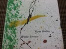 ROSS RABIN / WALLY SHOUP ?– SCREE-RUN WALTZ   LP US  FREE JAZZ