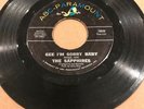 The Sapphires - Gee I’m Sorry Baby/Gotta Have Your Love * Abc Northern Soul 45