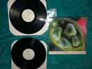 Fiona  Apple Extraordinary Machine Vinyl Record Mint Condition