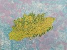 Lightning Bolt - Ride The Skies (Vinyl)
