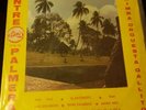 MARIMBA ORQUESTA GALLITO / Latin Funk & Cumbia / 33 rpm - Vinyl