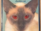 Blink-182 Cheshire Cat LP (Red Eyes) ORIG PRESS 1996 Vinyl Record Grilled Cheese