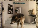 Grinderman 2 - Vinyl LP + CD , Booklet + Poster
