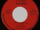 MELVIN HOWARD, JAMES WATKINS FAMILY: Rare Hillbilly Bluegrass Gospel IRMA 45 MP3