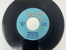 45rpm Sugar Hill Gang 