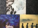 ECHO & BUNNYMEN 3 ORIGINAL VINYL ALBUMS PORCUPINE/OCEAN RAIN/SONGS LEARN & SING