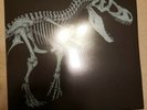 JURASSIC PARK Soundtrack Mondo AMBER Color Vinyl Record 2LP RARE John Williams
