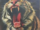 TYGERS OF PAN TANG 