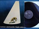 RINO GAETANO Mio Fratello è Figlio Unico Lp ORIGINALE Prima Edizione 1976 vedi