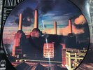 PINK FLOYD, ANIMALS, PICTURE DISC VINYL LP, 2018, NEW