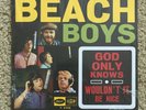 The Beach Boys 2016 7