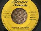 THE LIFES ROCKERFELLERS - Swing Low Sweet Chariot - ISLAND MODERN SOUL FUNK