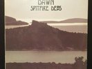 SPITFIRE DEBS - DAWN LP - 1980 Rca SP PROMO killer DISCO-FUNK ITALIAN LIBRARY