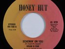 Modern Soul Boogie 45 BRIAN & ZAN Schemin' On You HONEY HUT VG+ HEAR