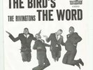 SOUL DOOWOP DANCER PICTURE SLEEVE ONLY- RIVINGTONS  - THE BIRDS THE WORD-LIBERTY