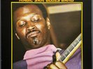 MAGIC SAM BLUES BAND - BLACK MAGIC - U.S.DELMARK VINYL LP DS-620 A/B N/M