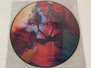 Madonna Girl Gone Wild Limited Edition Vinyl Picture Disc - Rare