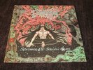 Demigod / Slumber Of Sullen Eyes OG Drowned Prod 1st Press LP 1992 Death Metal