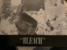 Nirvana Bleach Double Lp With Booklet White Red Vinyl. 180 Gram.