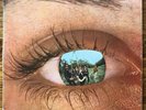 Miragem - Lobos Top Tape Original LP Brazil Garage Psych Tropicalia VG++