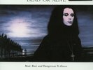 DEAD OR ALIVE - MAD, BAD, AND DANGEROUS TO KNOW - MOV - MUSIC ON VINYL - LP
