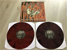SLAYER - HELL AWAITS IN LOS ANGELES 2LP RED/PURPLE VINYL  #41/100    METALLICA