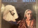 NIRVANA/JESUS LIZARD/Oh the Guilt 1993 Touch and Go/Foo Fighters/Germs NM