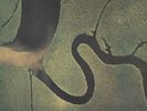 The Serpent's Egg - VG Dead Can Dance vinyl LP album record UK CAD808 4AD 1988