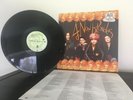4 NON BLONDES   Bigger Better Faster More     Vinyl LP   First Pressing Nr Mint
