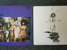 LP:  THE SLITS - cut       UK 1979