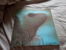 Pink Floyd Meddle Vinyl