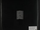 JOY DIVISION: Unknown Pleasures LP Sealed (180 gram reissue, cut from the 2007