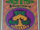 THE ORANGE ALABASTER MUSHROOM - Space & Time ***LTD Ed of 350 Vinyl-LP***NEW***