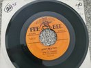 FEE BEE 214 Whispering Bells/ Don't Be A Fool by the Del Vikings