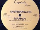 RARE-A Number Of Names 1981 ShareVari 12'' Capriccio 928 Detroit Techno ORIG.NM