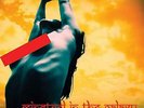 Acid Mothers Temple & the Melting Paraiso U.f.o. - Minstrel In the Galaxy