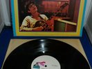 Larry Coryell 12 Vinyl Album Lot