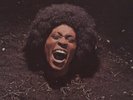 Maggot Brain