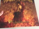 Cradle Of Filth - Nymphetamine [2x Vinyl LP VG/VG] RARE